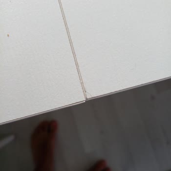 Teşhir Ürünü Ve Ciddiyetsizlik