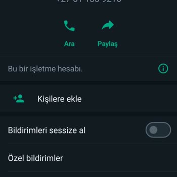 WhatsApp Yabancı Numara