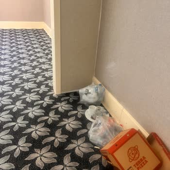 Doubletree By Hilton Hijyen İlgi Geri Dönüş Yok