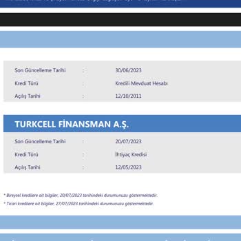 Türk Finansman Olmayan Borç Çıkardı