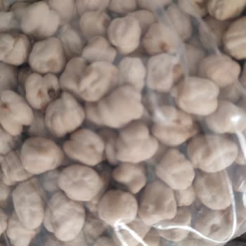 City Gross Nohutta Böcek Çıkması