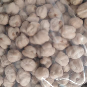 City Gross Nohutta Böcek Çıkması