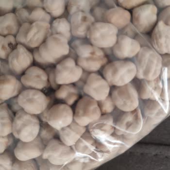 City Gross Nohutta Böcek Çıkması