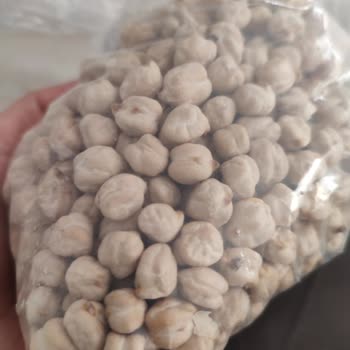 City Gross Nohutta Böcek Çıkması