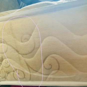 Mutlu Temizlik Hizmetleri (Ankara) Koltuk Yıkama Hizmetinden Memnun Kalmadım