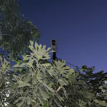 ADM Elektrik Dağıtım Aydem'e Ait Sokak Lambası Yaklaşık 1 Aydır Yanmıyor