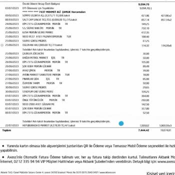 Akbank Axess Platinum Kredi Kartının Harcamasının 9 Taksit Yapılmaması