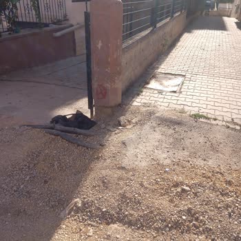 Etimesgut Belediyesi Artık Lütfen Bitirelim Bu İşi