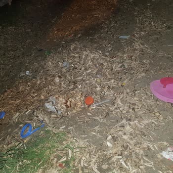 Gürpınar Belediyesi Çalışanlarının Sorumsuzluğu