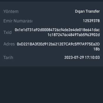 Trust Wallet Cüzdanım Silindi Tekrar Yükledim Param Gözükmüyor!