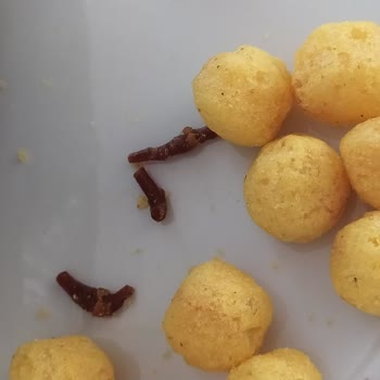 Star Krak Cips İçinden Ne Olduğu Bilinmeyen Siyah Cisim Çıktı