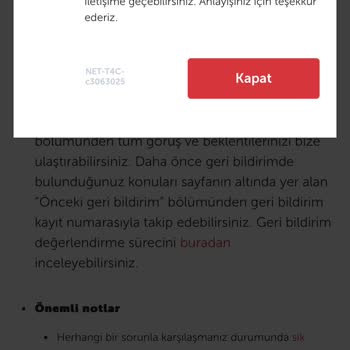 THY Tüm Yolcu Bavullarının Uçağa Alınmaması