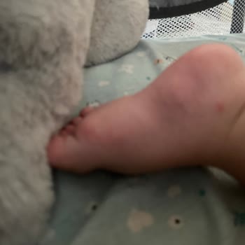 Raid Sivri Sinekleri Öldürmüyor