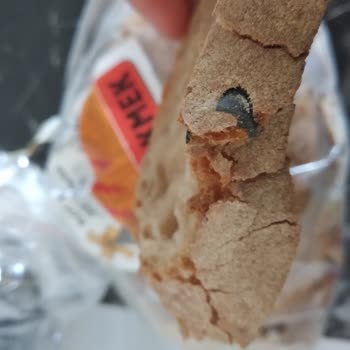 Migros Ekmekten Çıkan Yabancı Madde
