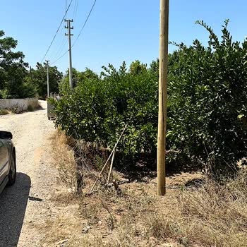 BTK (Bilgi Teknolojileri ve İletişim Kurumu) Türk Telekom Arsama İzin Almadan 3 Metre İçeri Girerek Direk Dikti