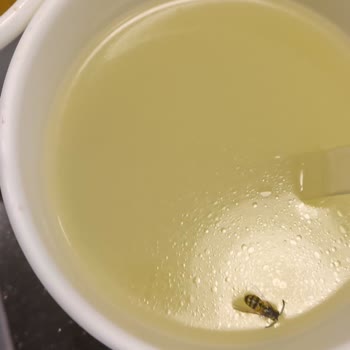 Banu Hotel Luxury Paramızla Rezil Olduk