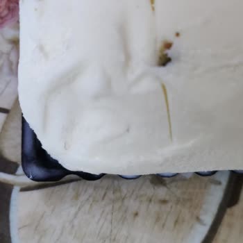Natura Gıda Dondurmanın Üzerindeki Ne Olduğu Belli Olmayan Cisimler