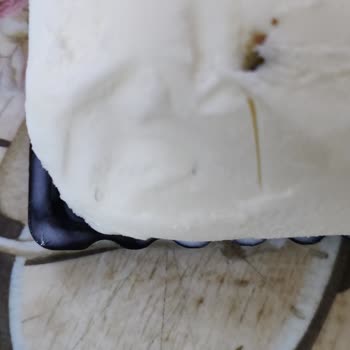 Natura Gıda Dondurmanın Üzerindeki Ne Olduğu Belli Olmayan Cisimler