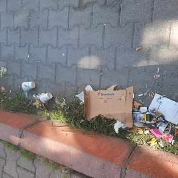 Domino's Pizza Kayseri Keykubat Şubesi Çöp Sorunu