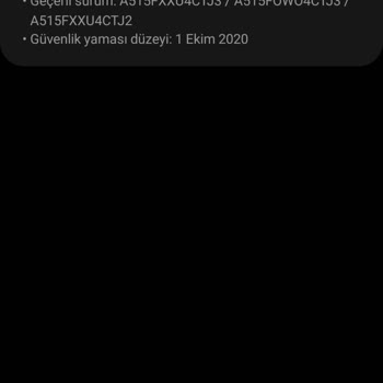 Samsung Telefon Telefonum Güncelleme Almıyor Ve Parmak İzi Ayarlayamıyorum
