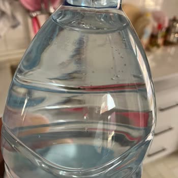 1 Litre Pınar Su İçinde Siyah Cisim