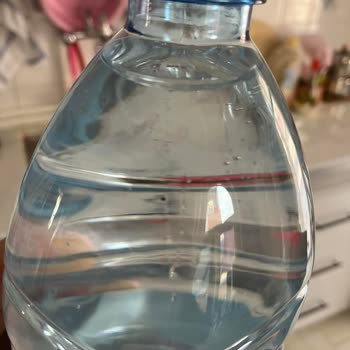 1 Litre Pınar Su İçinde Siyah Cisim