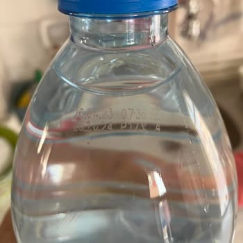 1 Litre Pınar Su İçinde Siyah Cisim