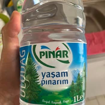 1 Litre Pınar Su İçinde Siyah Cisim