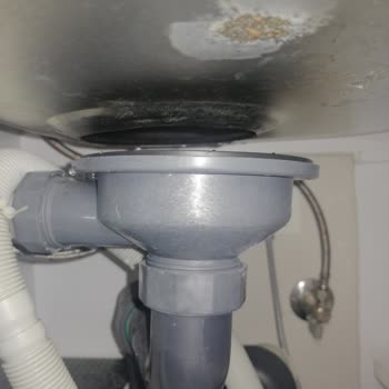 Teka Evye Vida Çürümesi