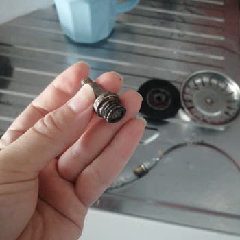 Teka Evye Vida Çürümesi