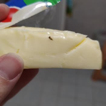 Sek Kaşar Peynirinden Böcek Çıktı