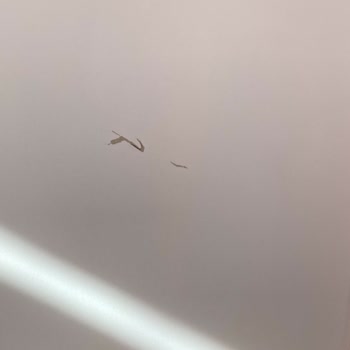 Arçelik Hatalı Ürün Gönderiyor