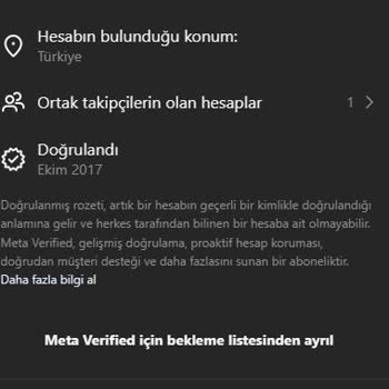 Instagram Meta Verified Bekleme Listesindeyim Çok Uzun Sürdü