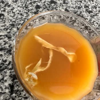 Tamek Meyve Suyundan Çürük Parçacıklar Çıktı