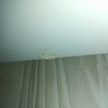 Altus Defolu Derin Dondurucu