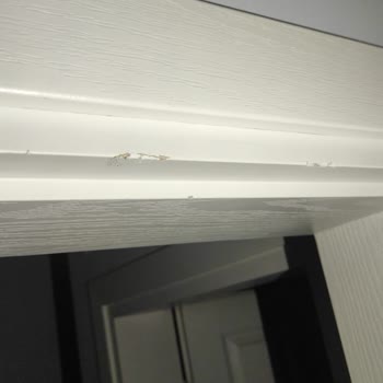 Sözünün Arkasında Durmayan Aysima Nakliyat!