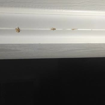 Sözünün Arkasında Durmayan Aysima Nakliyat!