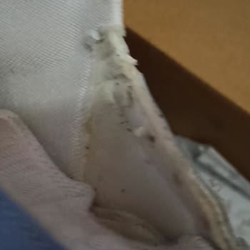 Vty Ayakkabımı 2 Defa İncelemeye Gönderdim ve Olumsuz Geldi!