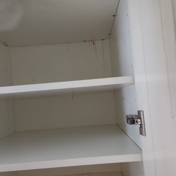 Edam Temizlik Hizmetleri Hiçbir Temizlik Yapılmamış