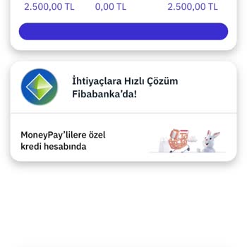 Money Pay Uygulama Kullanamıyorum