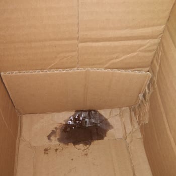 Hepsiburada Defolu Ürün Gönderdi, Ürün Zamlandı, Zararımı Karşılamıyor