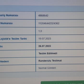Borusan Lojistik Bir Türlü Teslim Edilemeyen Kargom