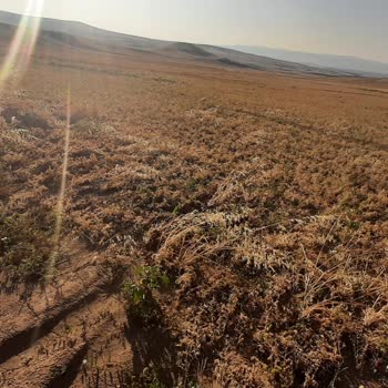 TARSİM Afet Bölgesi Köyümde Meydana Gelen Hasarlarımızı Ödemiyor