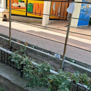 Tepebaşı Migros Çevresi Çöplerle Dolu