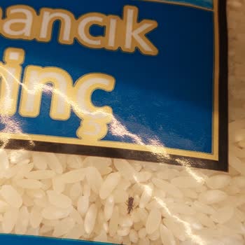 Şok Marketler Anadolu Sofrası Osmancık Pirinçten Canlı Böcekler Çıktı