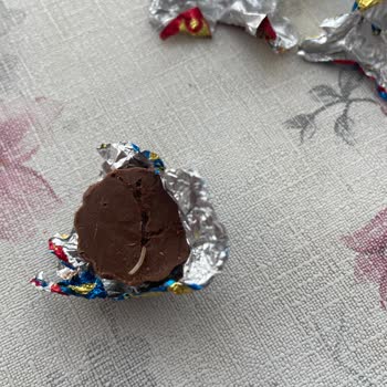 Ülker Çikolata Kurt Çıkması