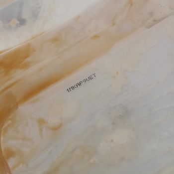 Algida Kodumu Kabul Etmiyor