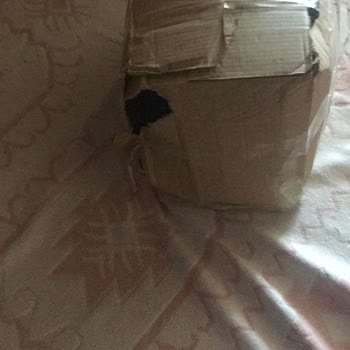 PTT Kargo Çift Ücret Alındı Ve Paket Açılmış