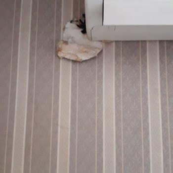 Arçelik İskenderun Yetkili Servis