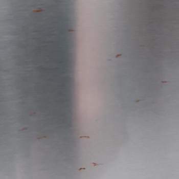 Bosch KGN75AIFON Buzdolabı Paslanma Sorunu